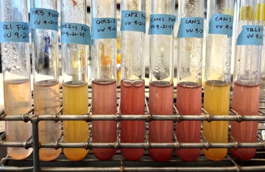 Microbiome samples