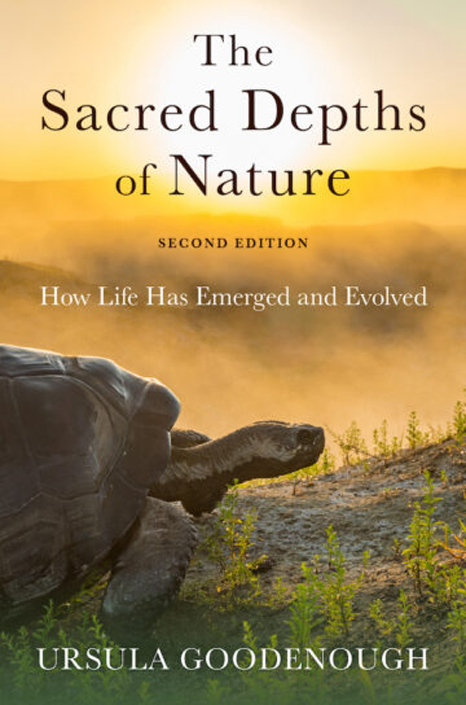  The Sacred Depths of Nature: How Life Has Emerged and Evolved (second edition)