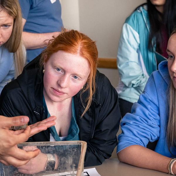 Brain Bee gives St. Louis students a chance to explore neuroscience