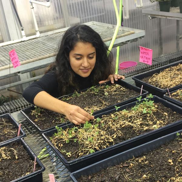 Bio 500 Research Spotlight: Maya Dutta on the Olsen Lab