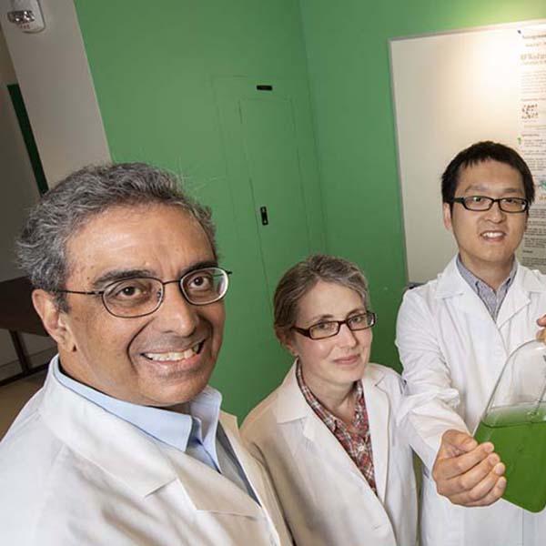 Researchers engineer bacteria that create fertilizer out of thin air