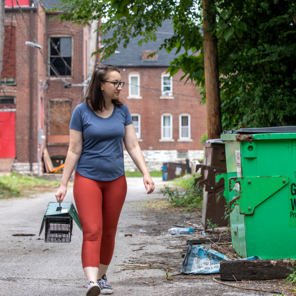 Beyond the lab: squirrels, urban landscapes, and the joy of research