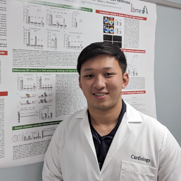 Bio 500 Research Spotlight: Kevin Yin on the Rentschler Lab