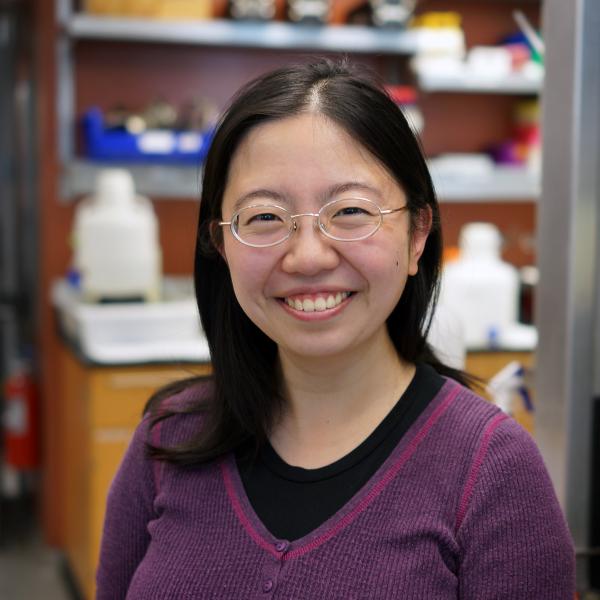 Faculty Spotlight: Assistant Professor Jennifer Wang