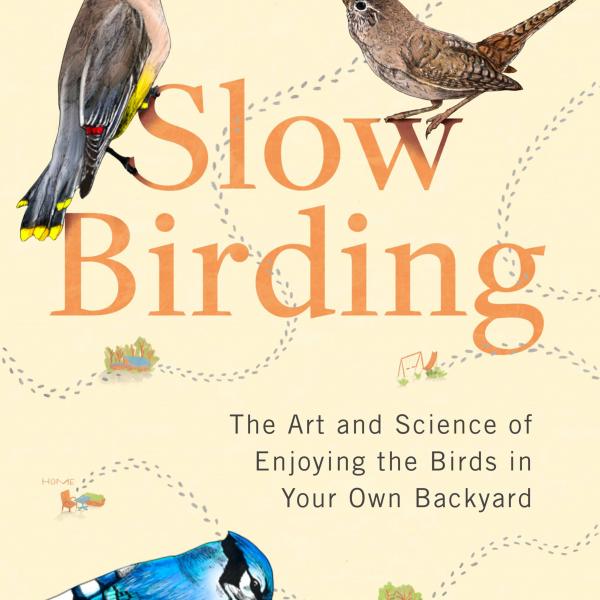 After a Frantic Year, It’s Time for ‘Slow Birding’