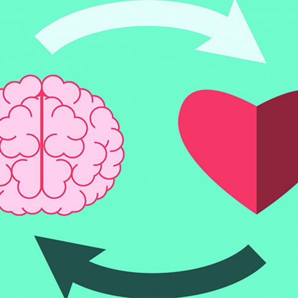 Rethinking seizures associated with cardiac disease: Fly study suggests neuronal gene malfunction, not oxygen deprivation, is behind long QT seizures 