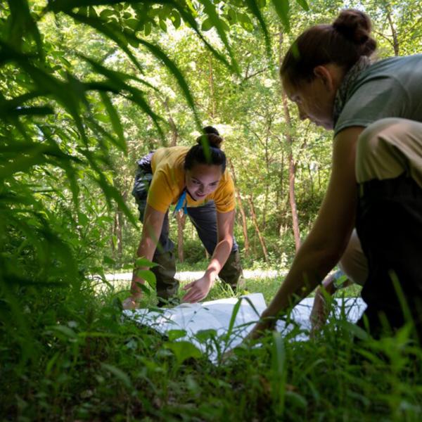 How St. Louis scientists are hunting for the next generation of tick-borne viruses 