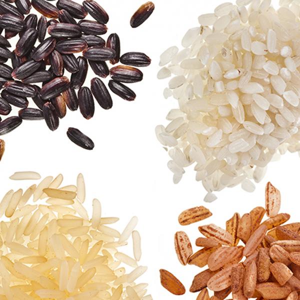 Grain traits traced to ‘dark matter’ of rice genome