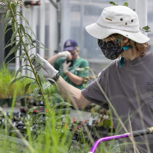 Jeanette Goldfarb Plant Growth Facility Updates