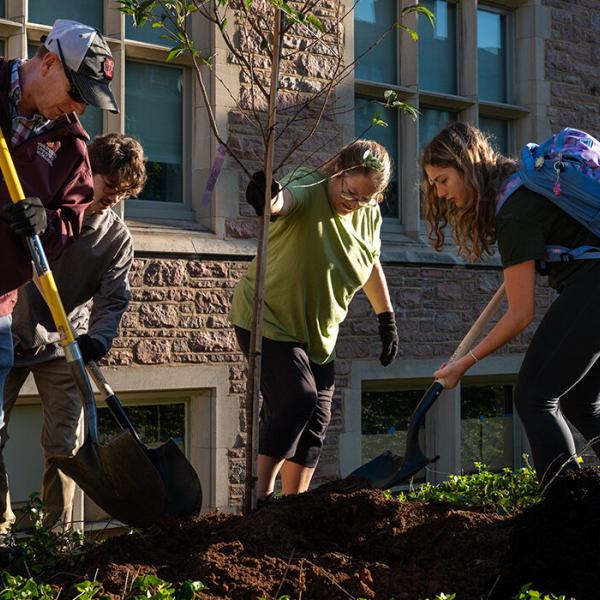 Home to 6,500 trees, WashU Arboretum earns rare status