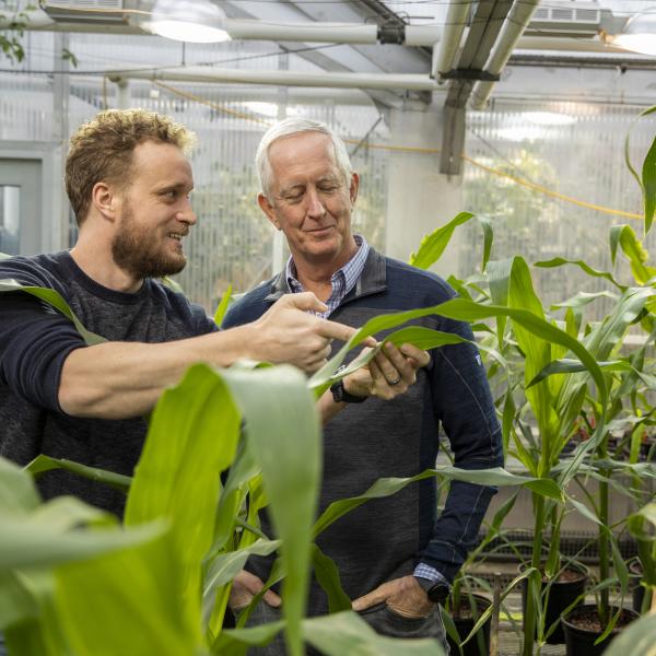 Plants without cellular recycling systems get creative in the dark