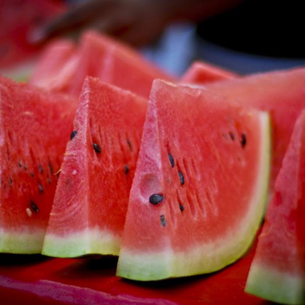  Seedy, not sweet: Ancient melon genome from Libya yields surprising insights into watermelon relative