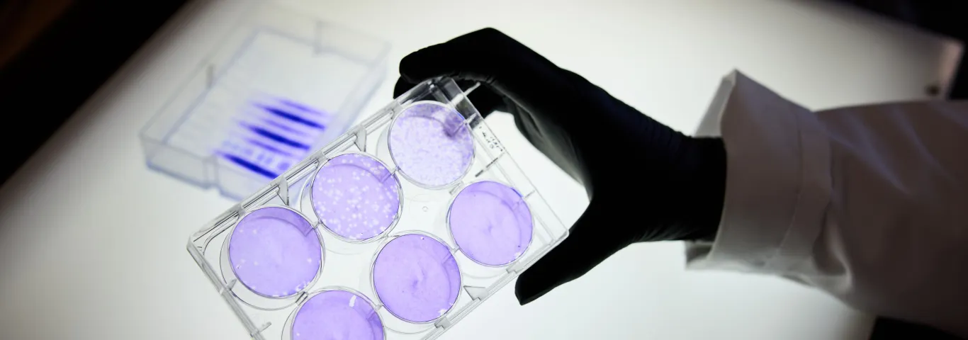 Vagelos Fellowship established to support undergraduate research in biology at WUSTL