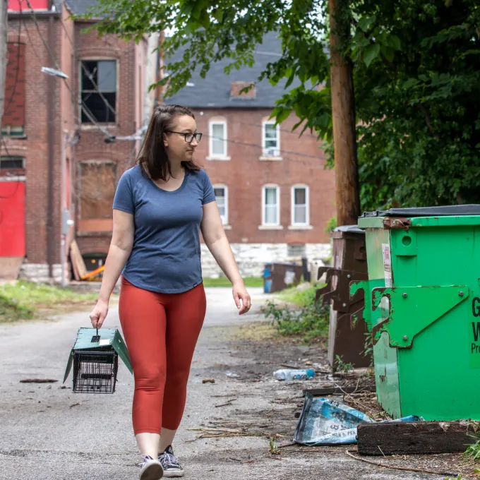 Elizabeth Carlen setting traps for squirrels
